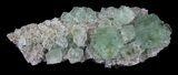 Sea Green, Fluorite on Quartz - China #32492-2